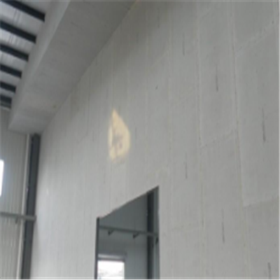 大渡口宁波ALC板|EPS加气板隔墙与混凝土整浇联接的实验研讨